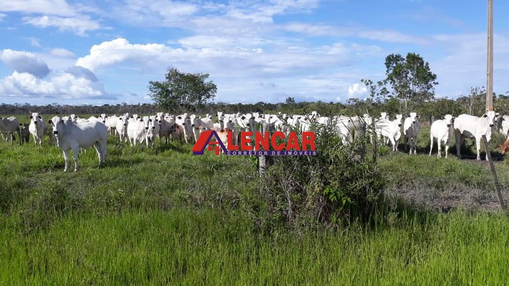 Terreno à venda, 8190143m² - Foto 10
