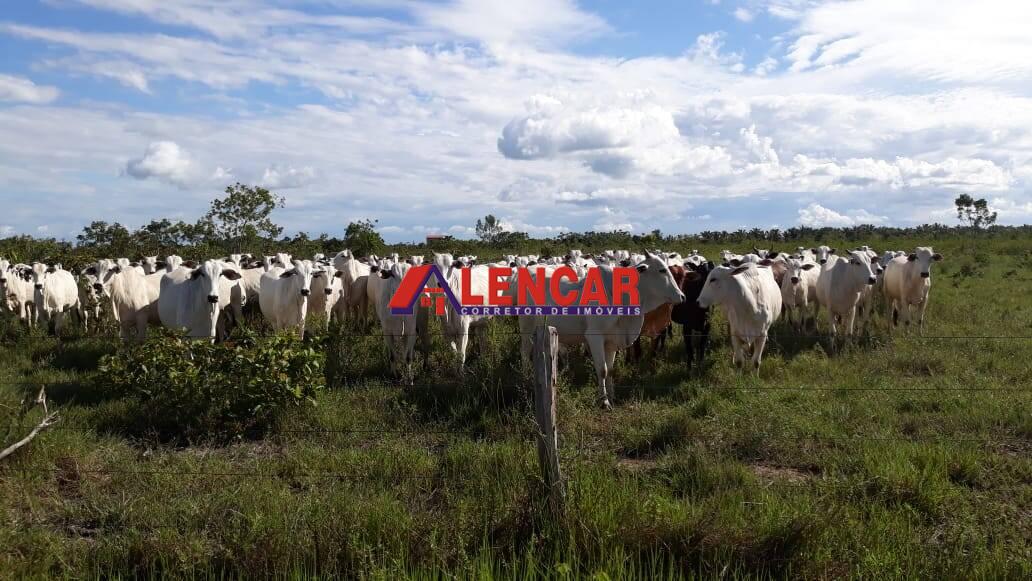 Terreno à venda, 8190143m² - Foto 11