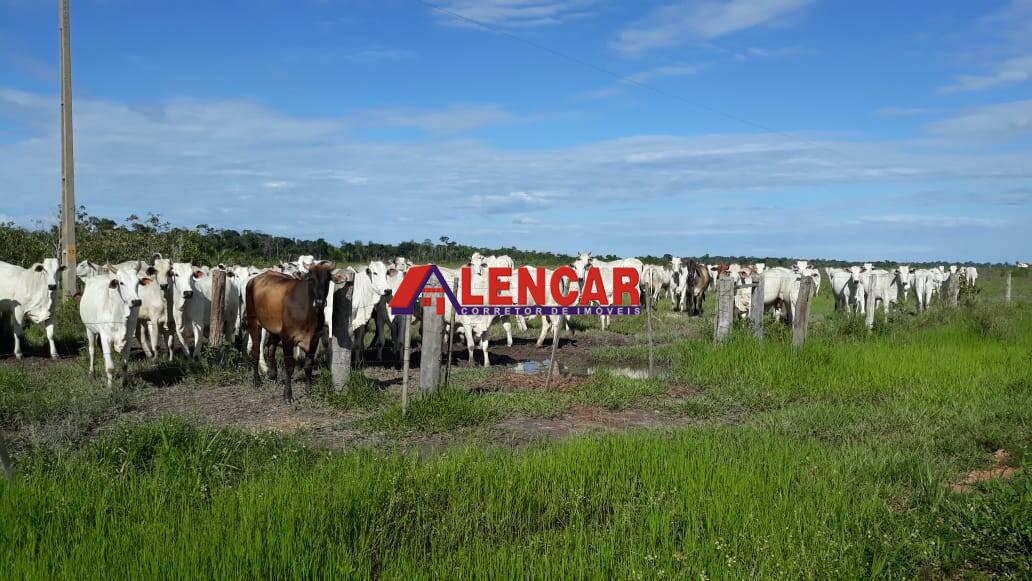 Terreno à venda, 8190143m² - Foto 12