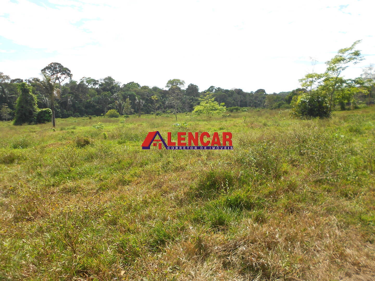 Terreno, 99 hectares - Foto 6