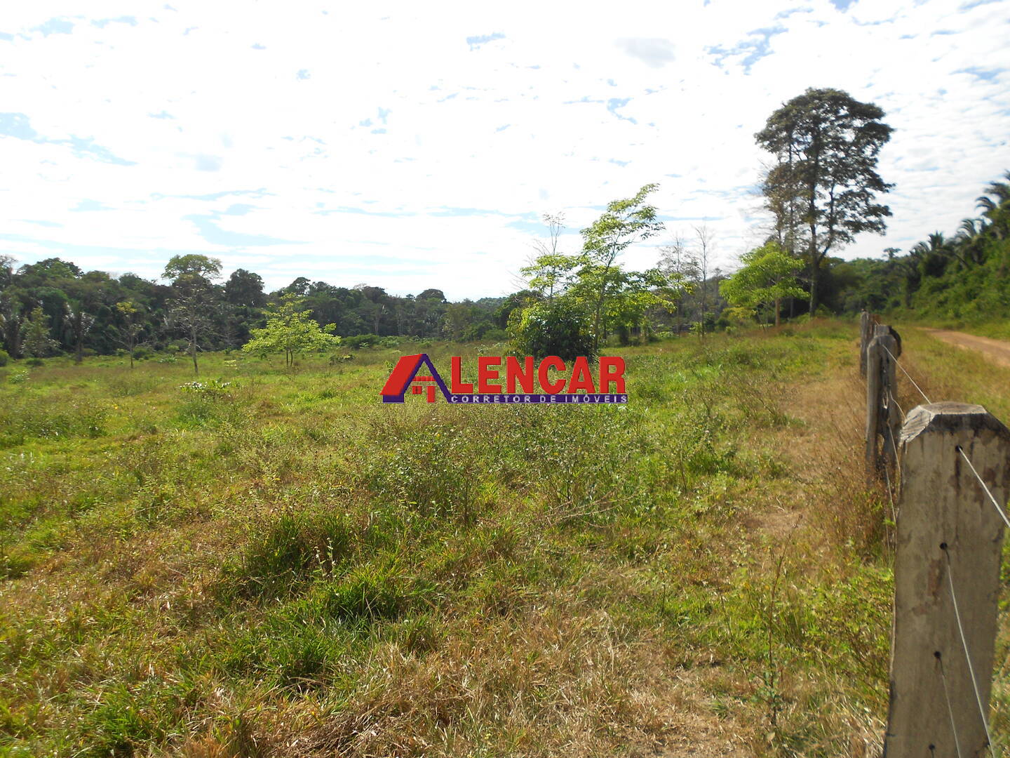Terreno, 99 hectares - Foto 7