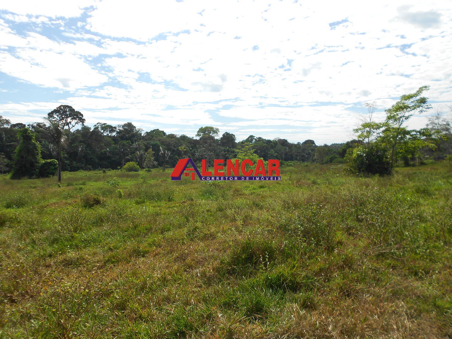 Terreno, 99 hectares - Foto 8