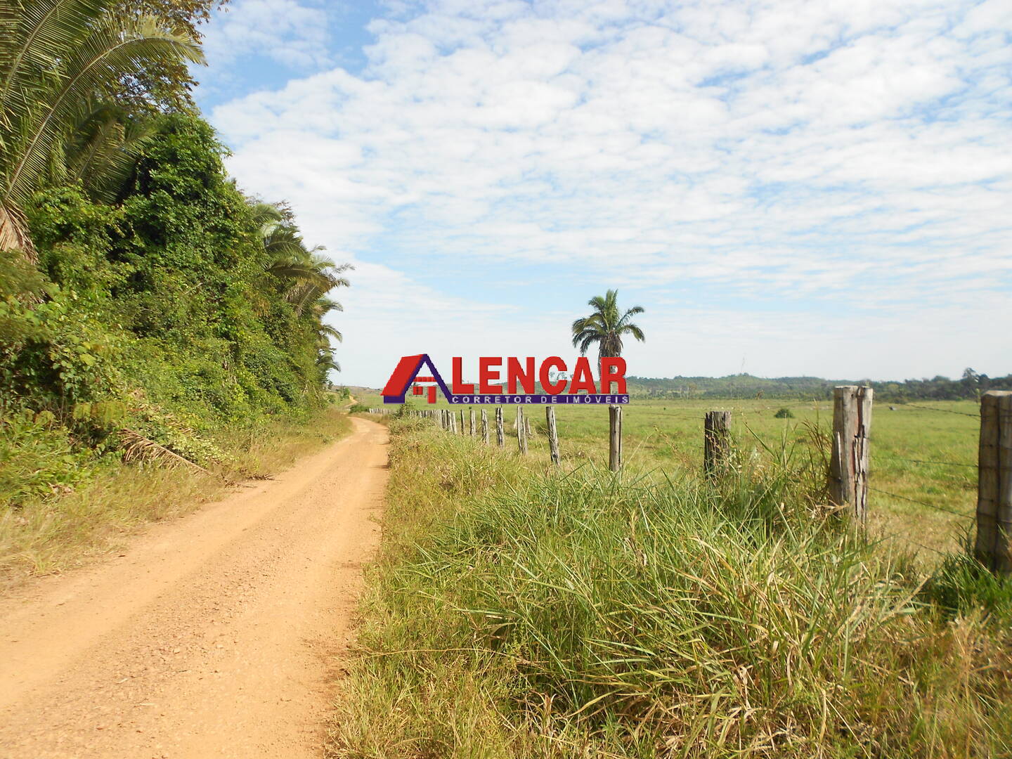 Terreno, 99 hectares - Foto 10