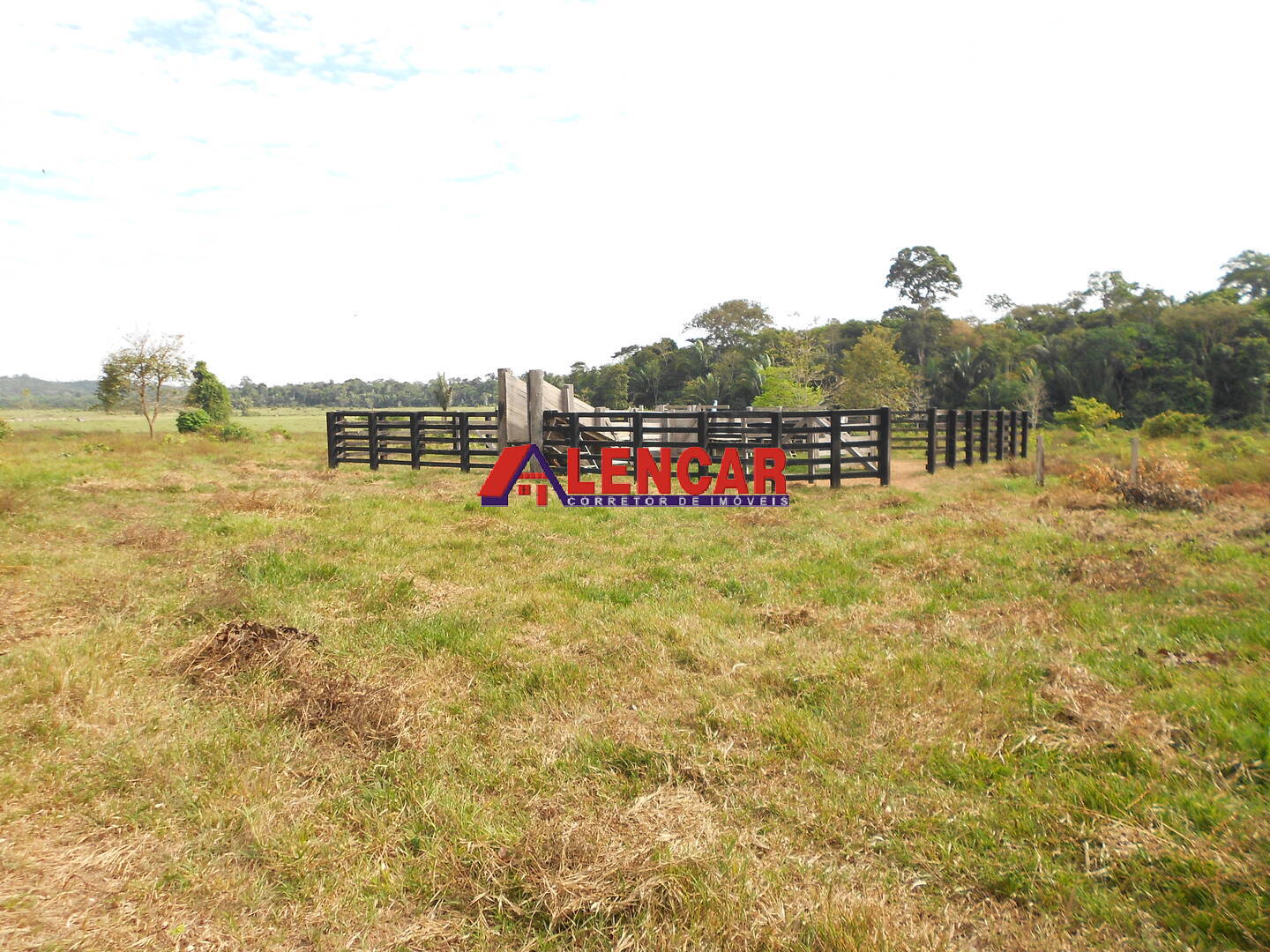 Terreno, 99 hectares - Foto 11