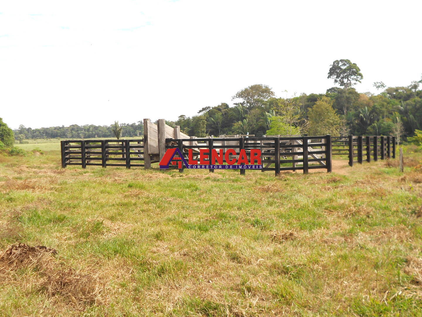 Terreno, 99 hectares - Foto 12