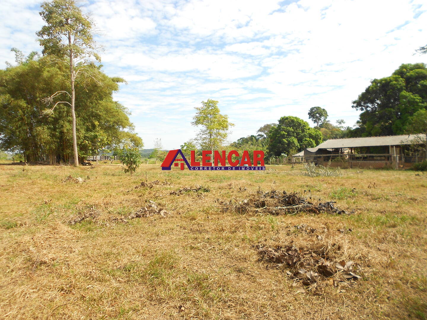 Terreno, 99 hectares - Foto 14