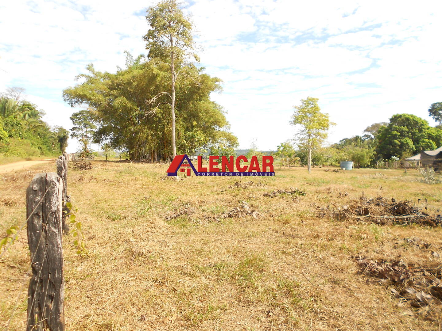 Terreno, 99 hectares - Foto 15