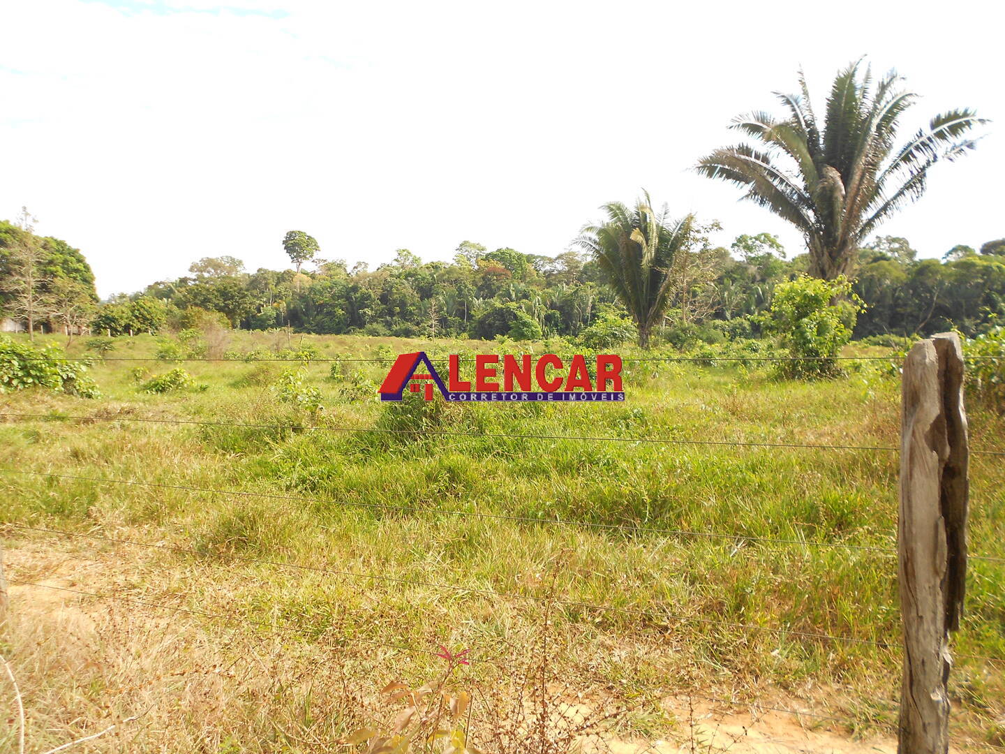 Terreno, 99 hectares - Foto 16