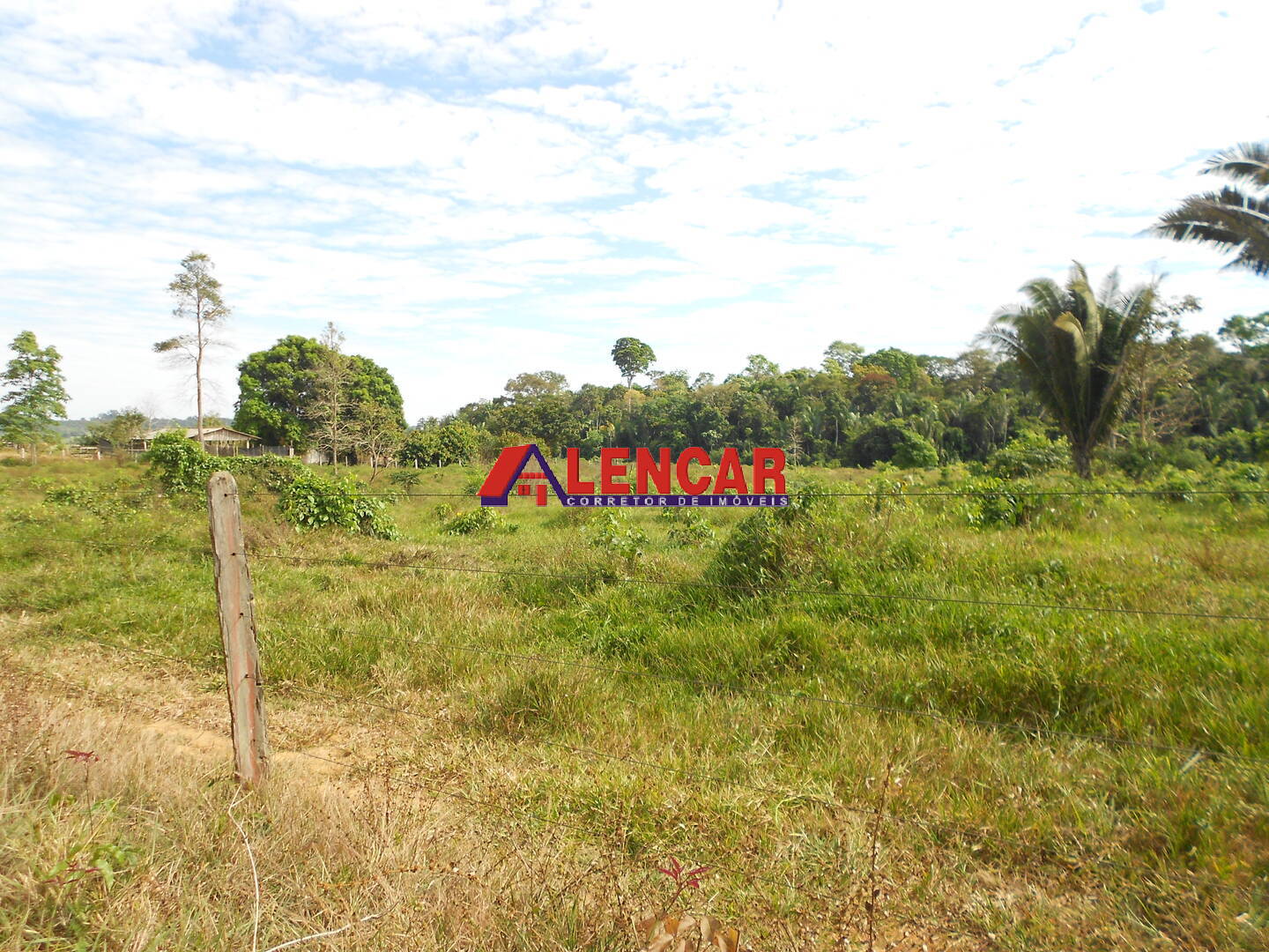 Terreno, 99 hectares - Foto 17