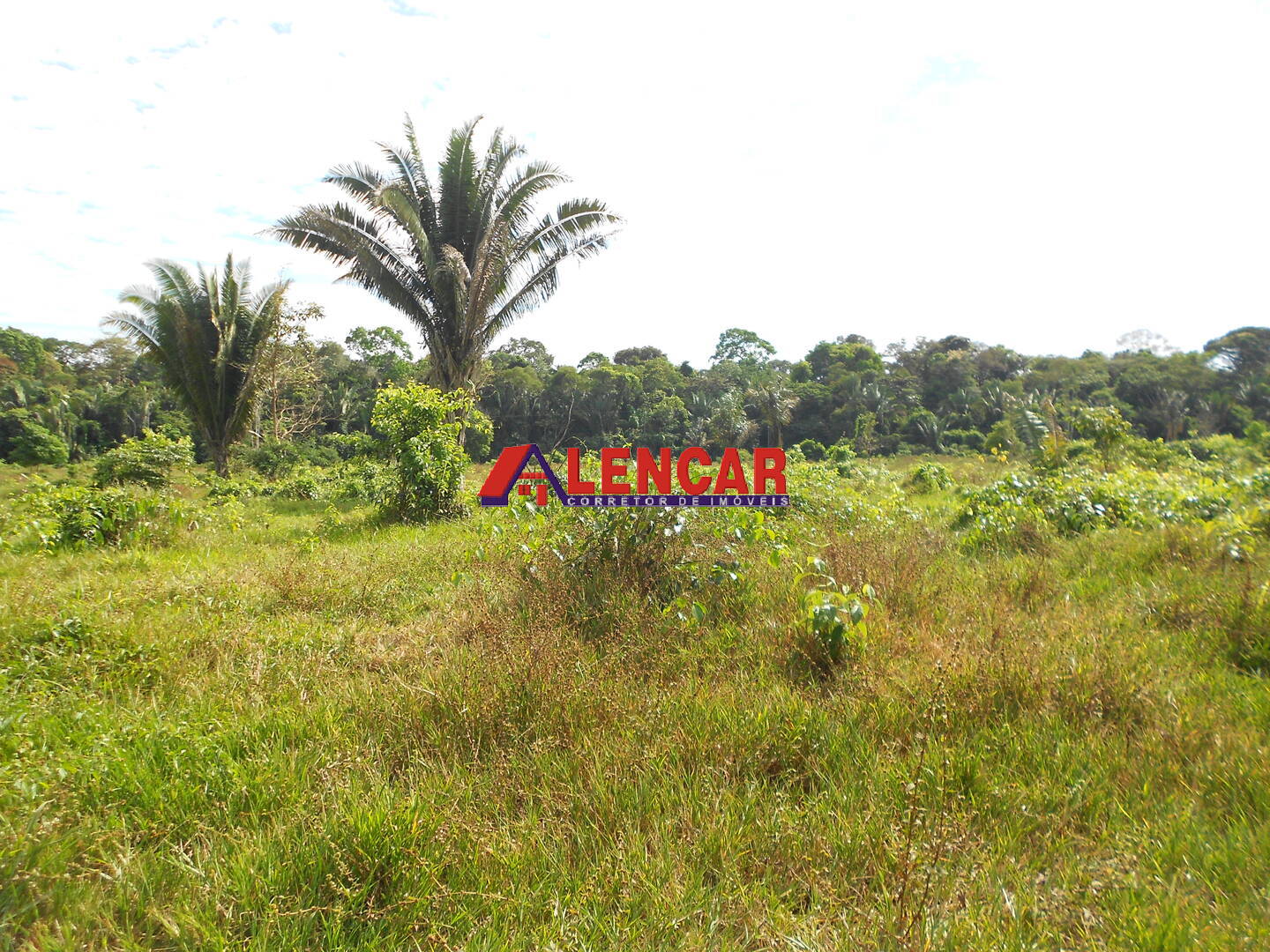 Terreno, 99 hectares - Foto 19