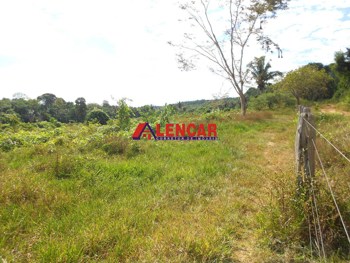 Terreno, 99 hectares - Foto 20