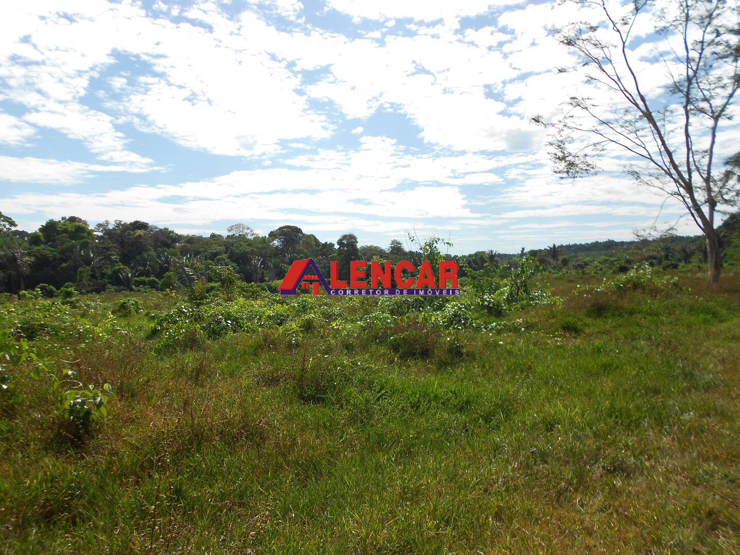 Terreno, 99 hectares - Foto 21