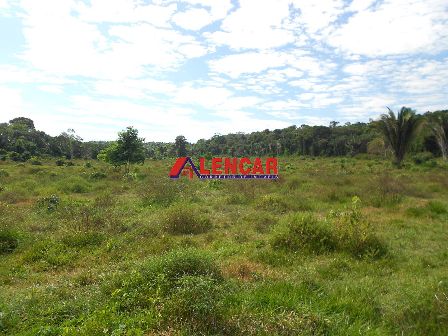 Terreno, 99 hectares - Foto 25