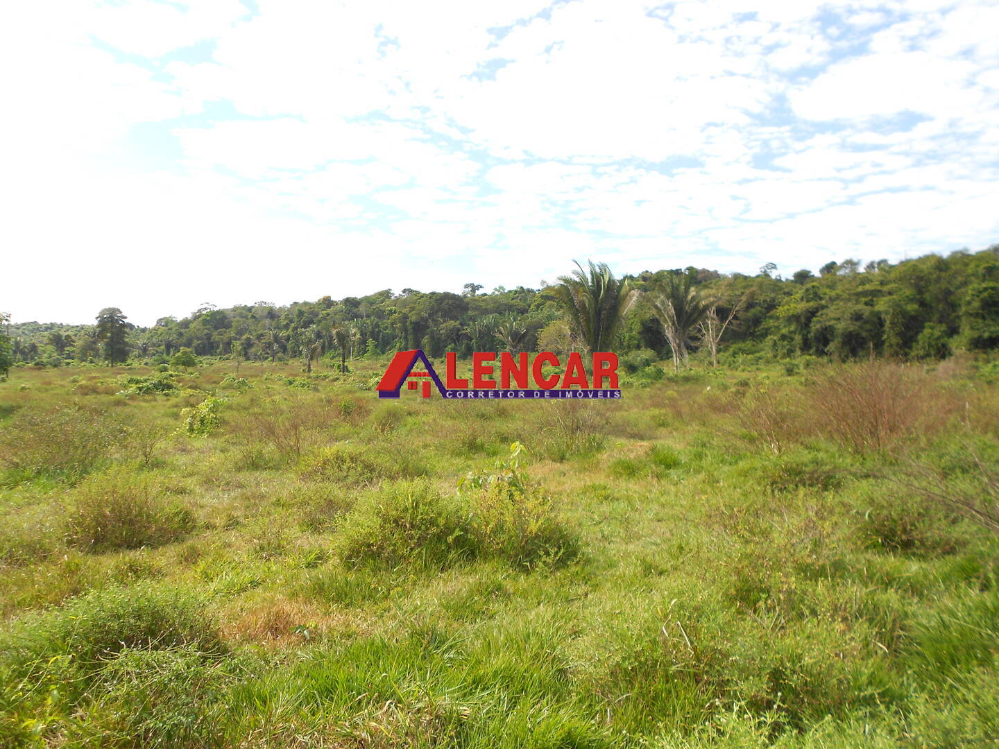 Terreno, 99 hectares - Foto 26