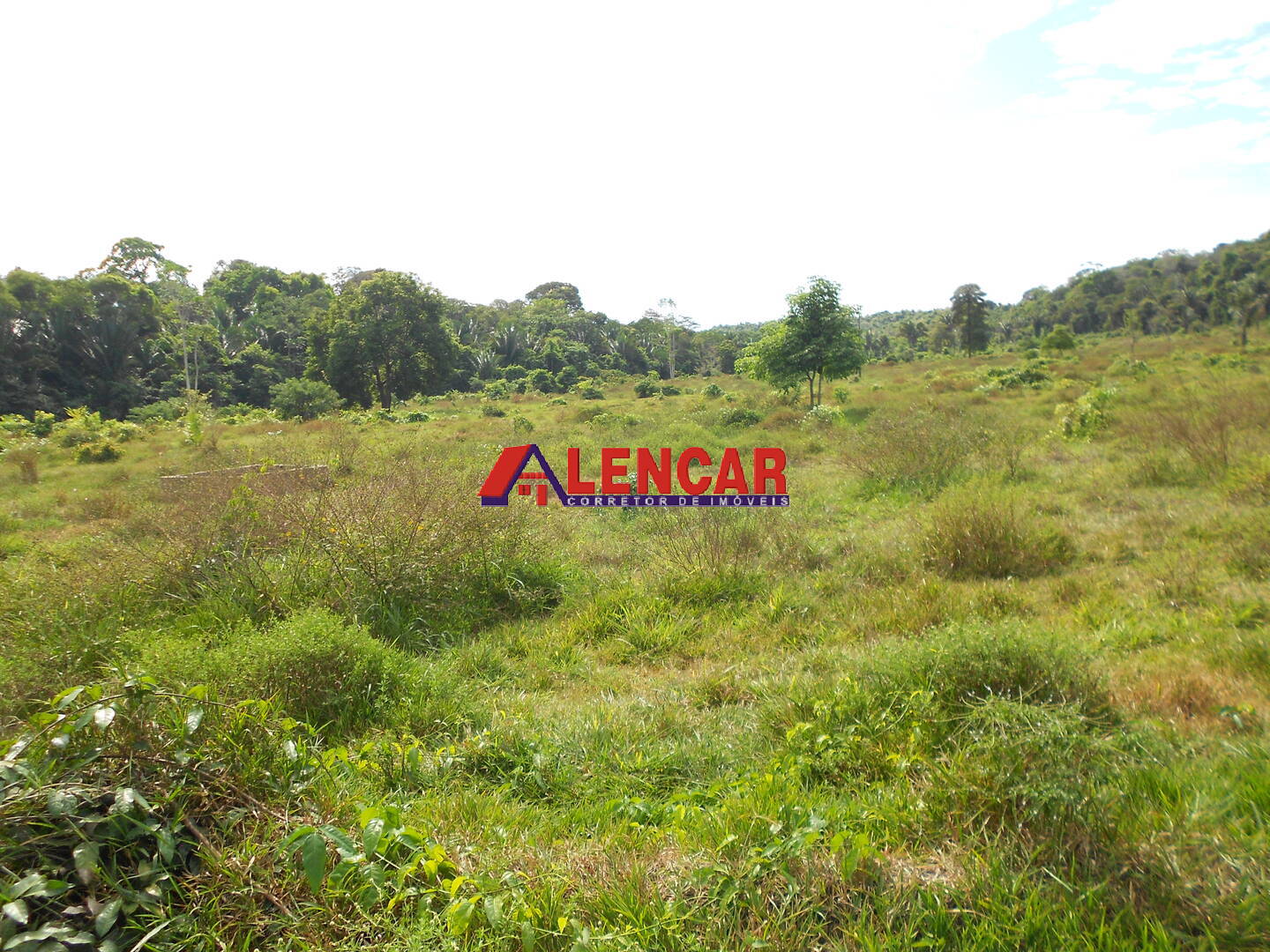Terreno, 99 hectares - Foto 27