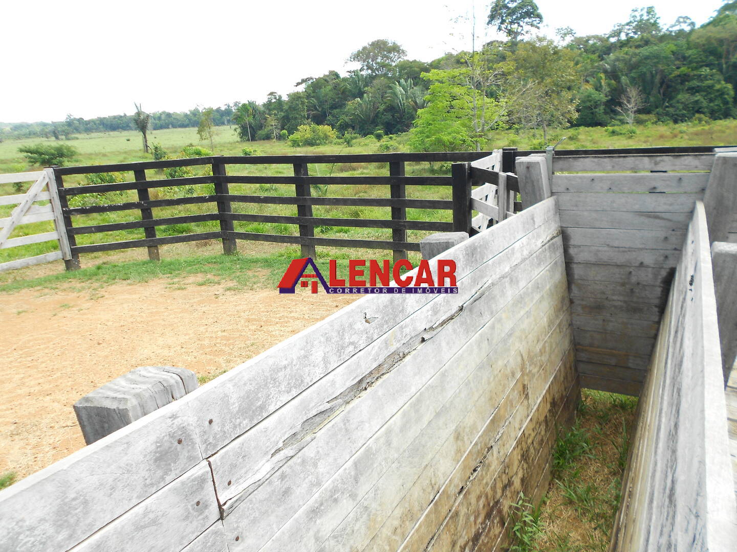 Terreno, 99 hectares - Foto 29