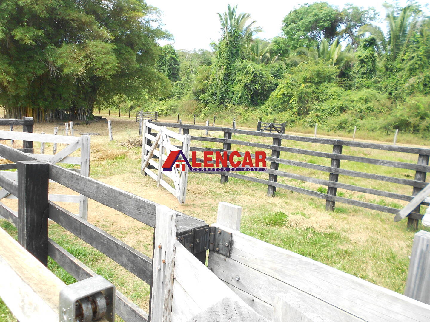 Terreno, 99 hectares - Foto 32