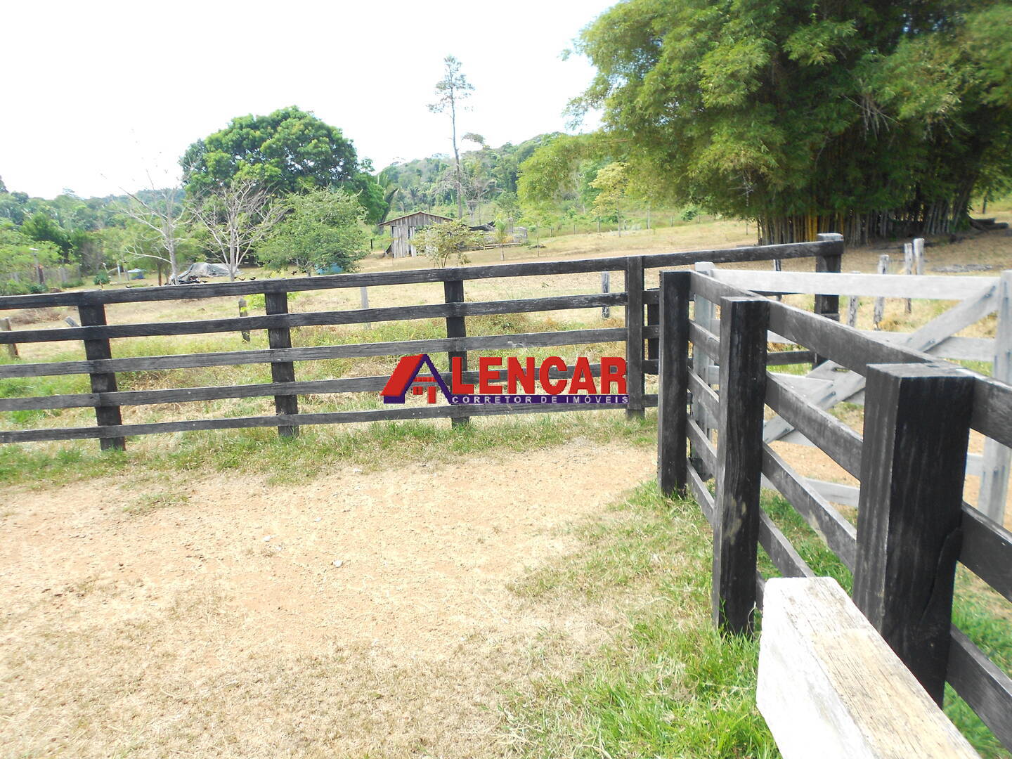 Terreno, 99 hectares - Foto 34